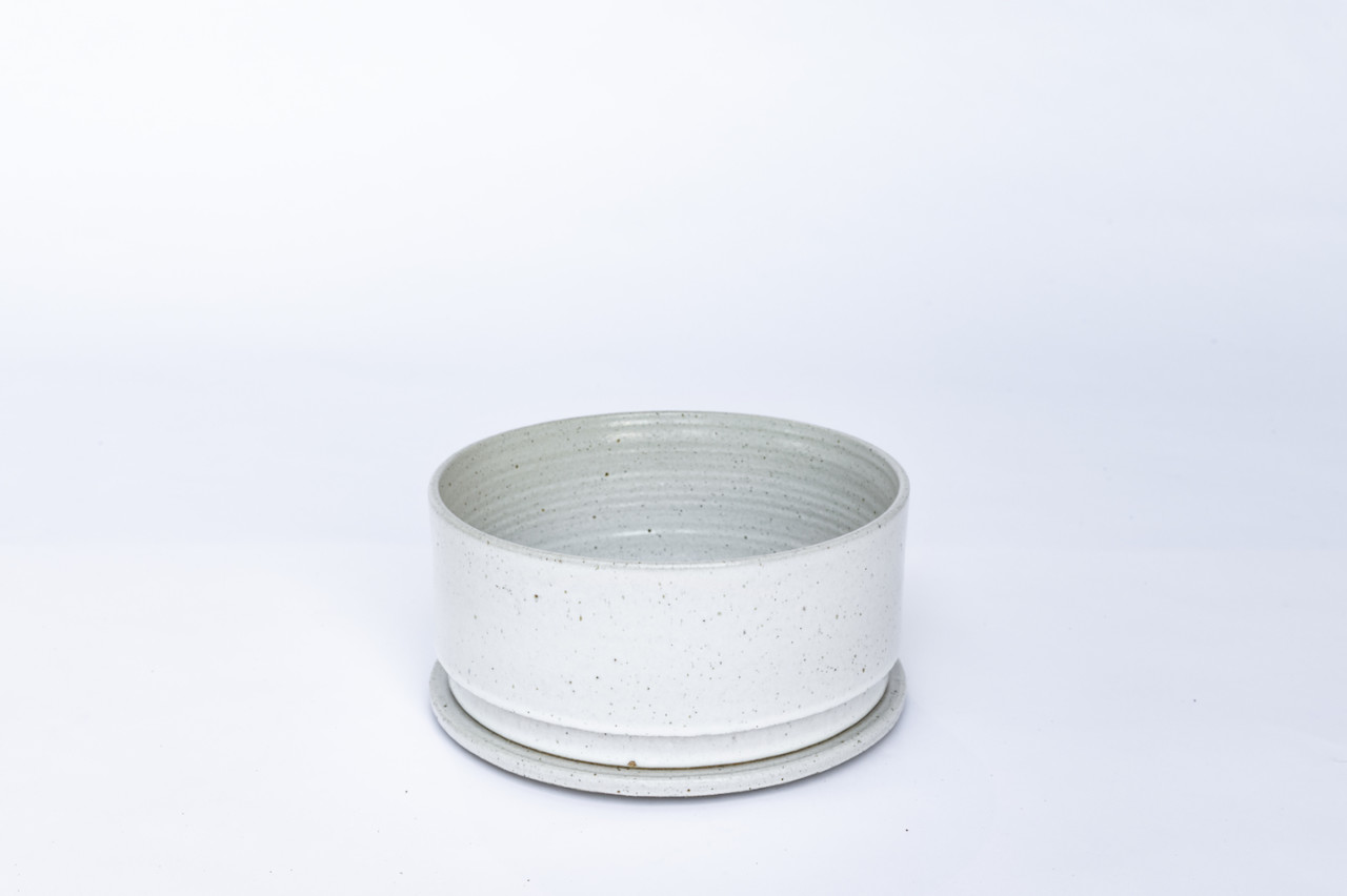 plant，Botany，Creative products，Pottery，