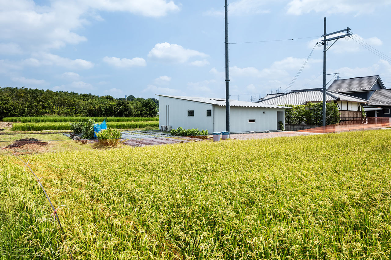 Architecture，Creative housing，Rural architecture，residence，