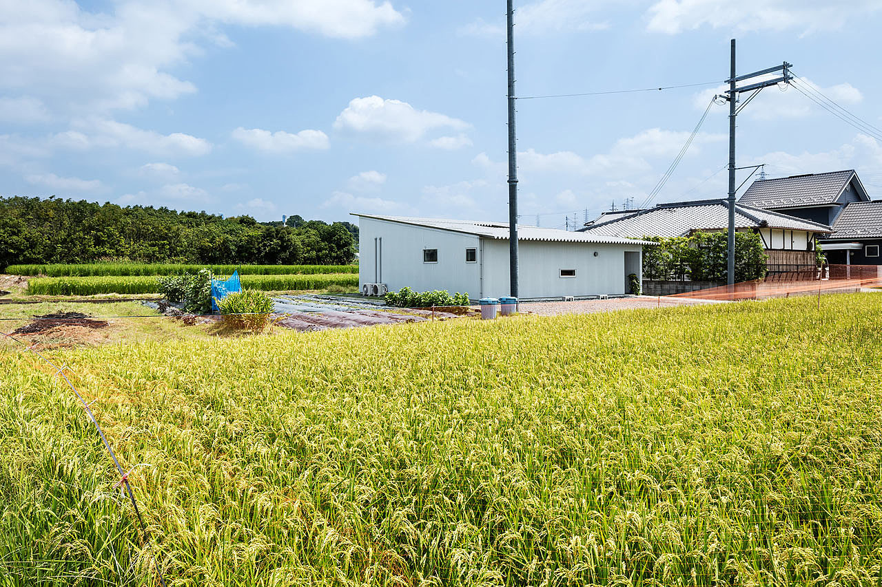 Architecture，Creative housing，Rural architecture，residence，