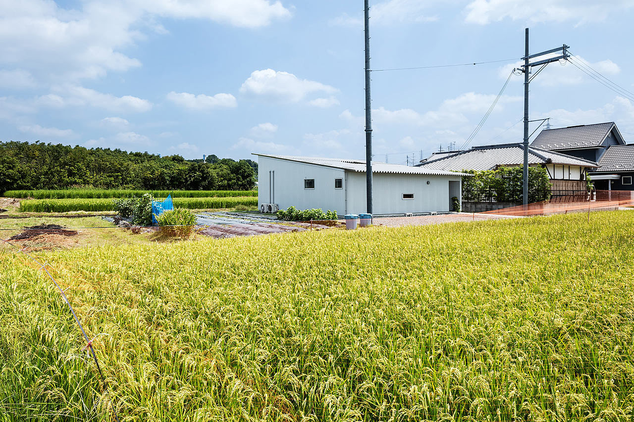 建筑，创意房屋，乡村建筑，住宅，