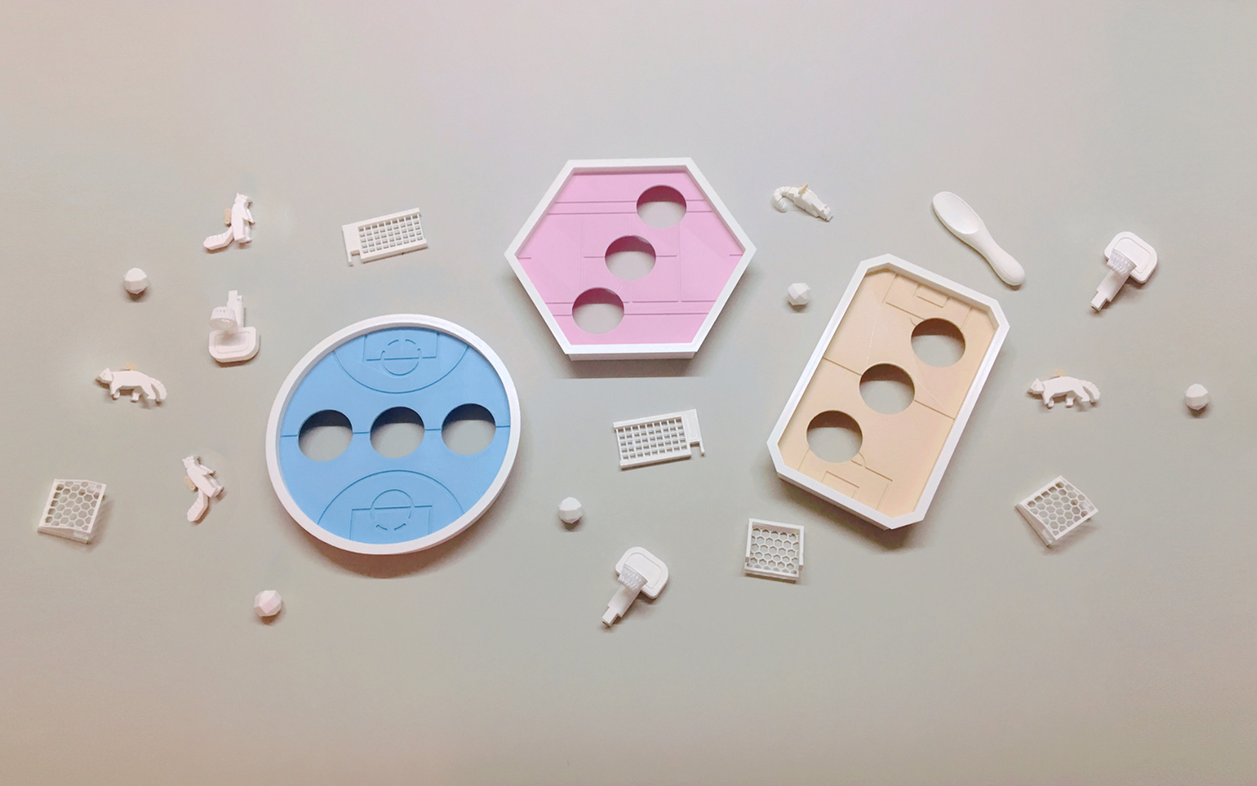 Neverland plant，Succulent plants，plant，Kit，Peter Pan，