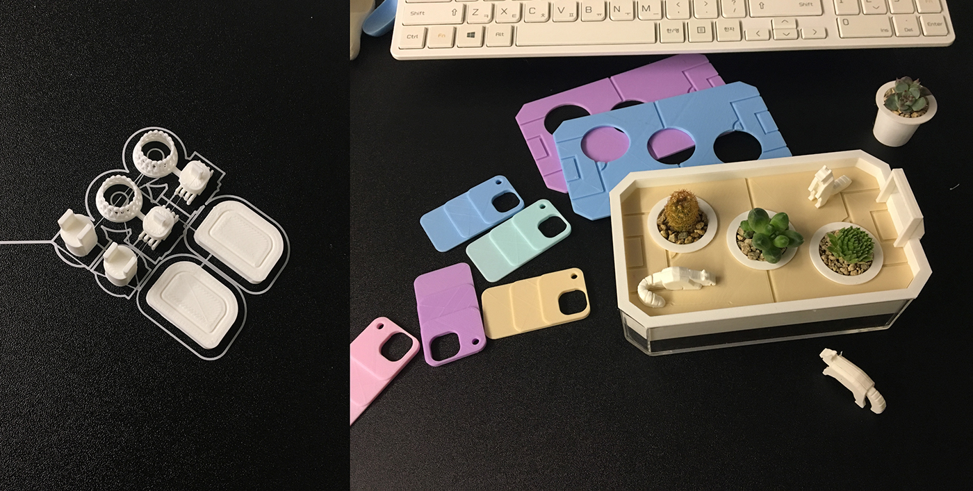 Neverland plant，Succulent plants，plant，Kit，Peter Pan，