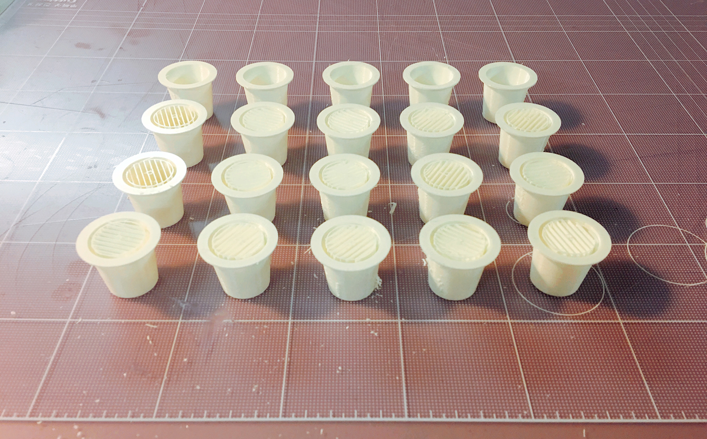 Neverland plant，Succulent plants，plant，Kit，Peter Pan，