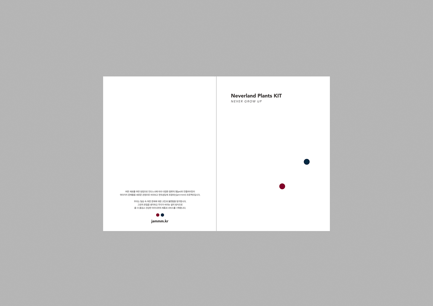 Neverland plant，Succulent plants，plant，Kit，Peter Pan，