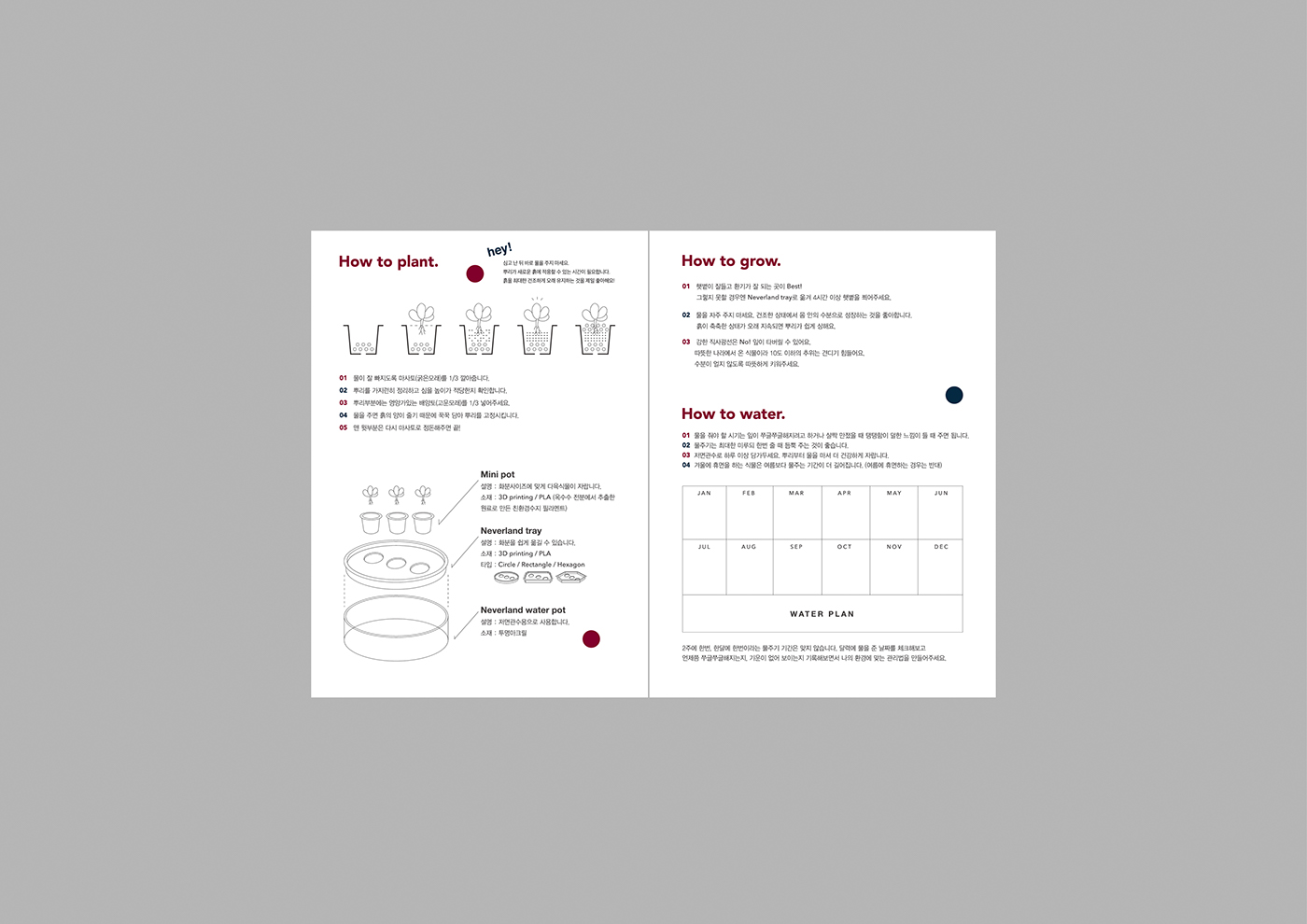 Neverland plant，Succulent plants，plant，Kit，Peter Pan，