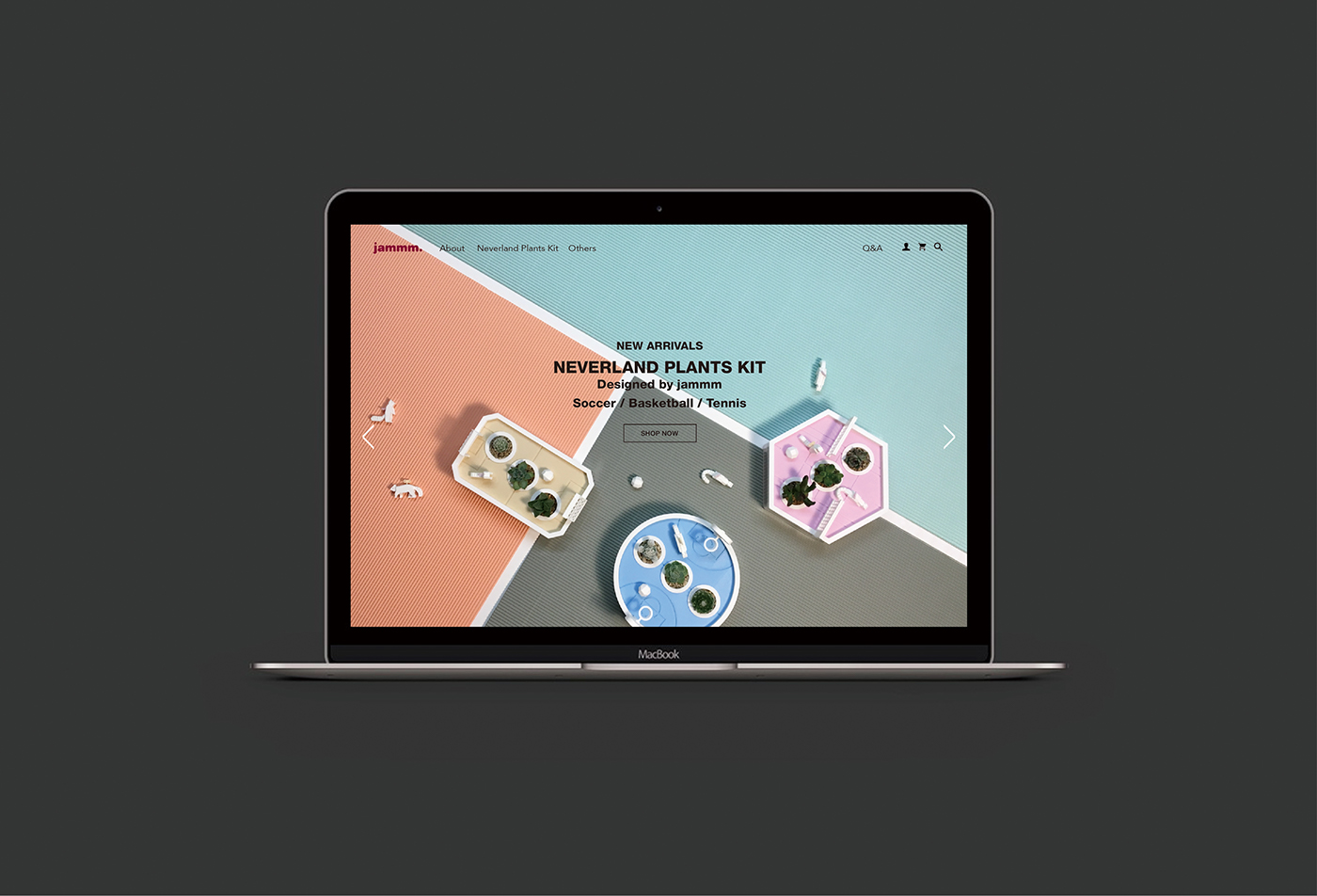 Neverland plant，Succulent plants，plant，Kit，Peter Pan，