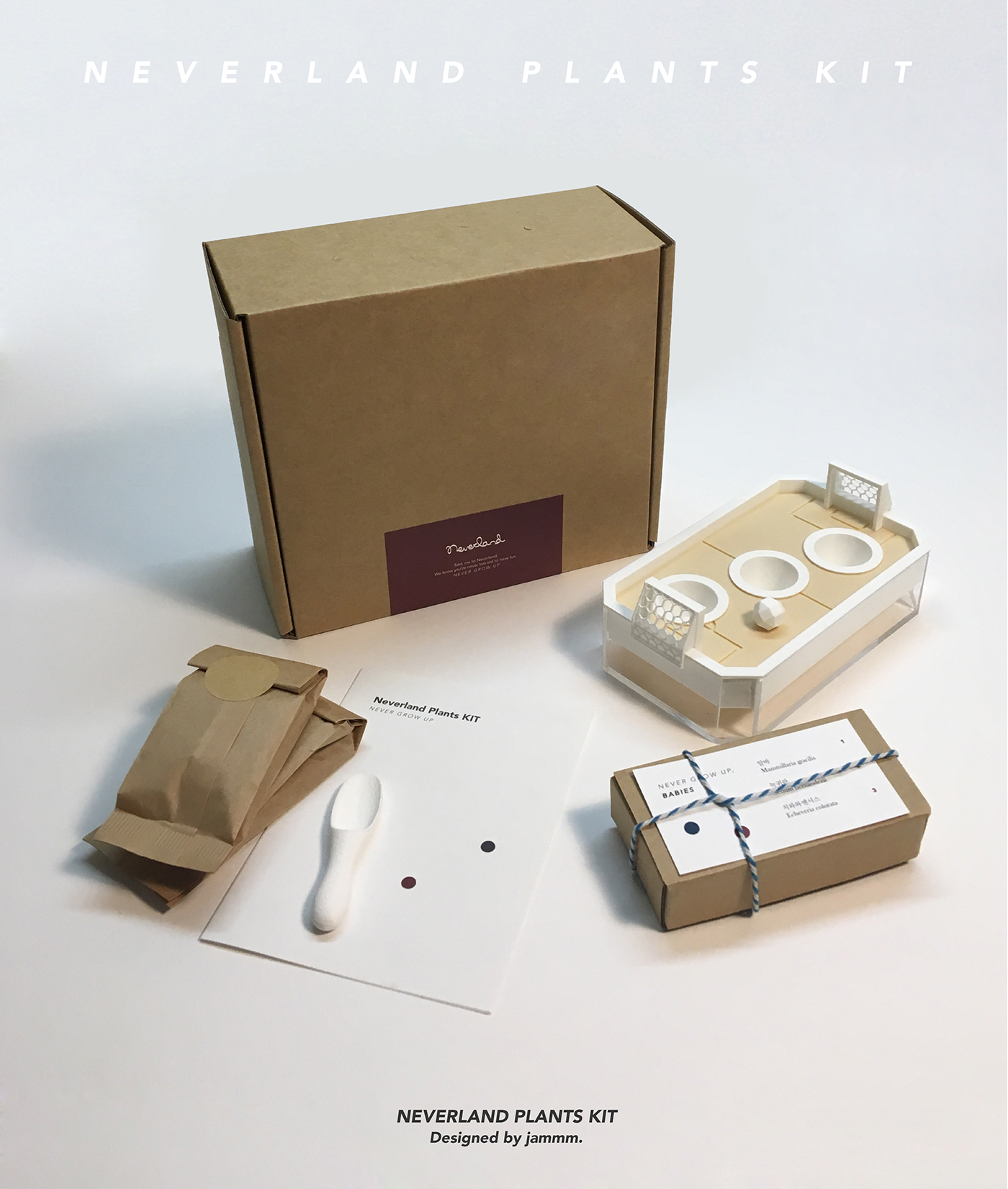 Neverland plant，Succulent plants，plant，Kit，Peter Pan，