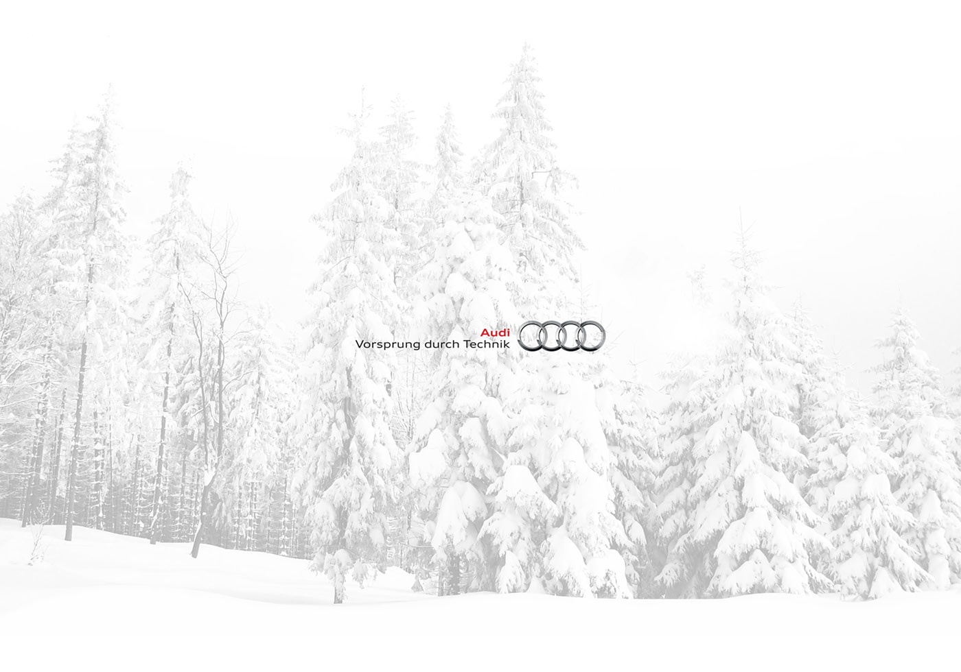 sled，audi，audi，Outdoor sports，