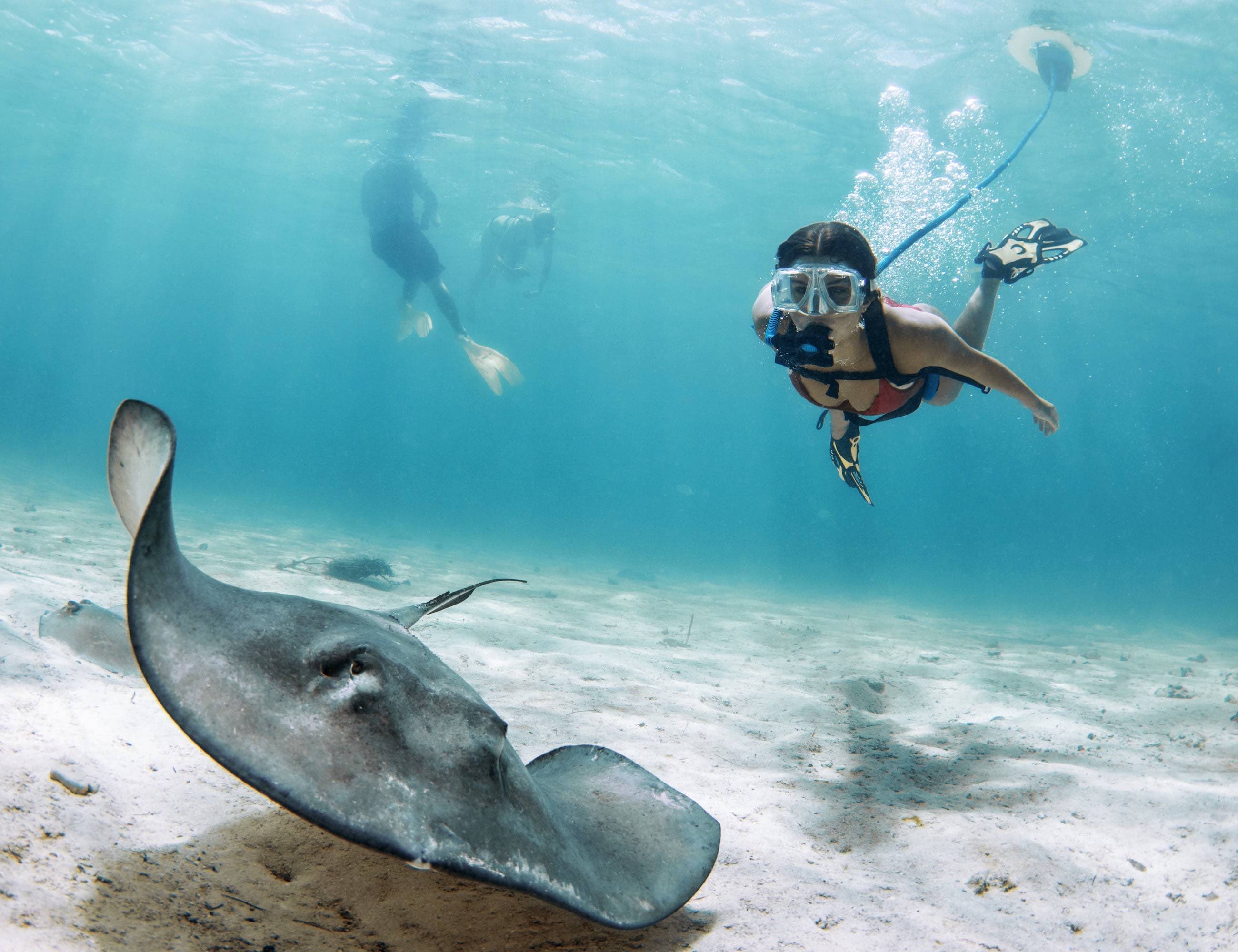 BLU3，Nemo，Portable diving system，