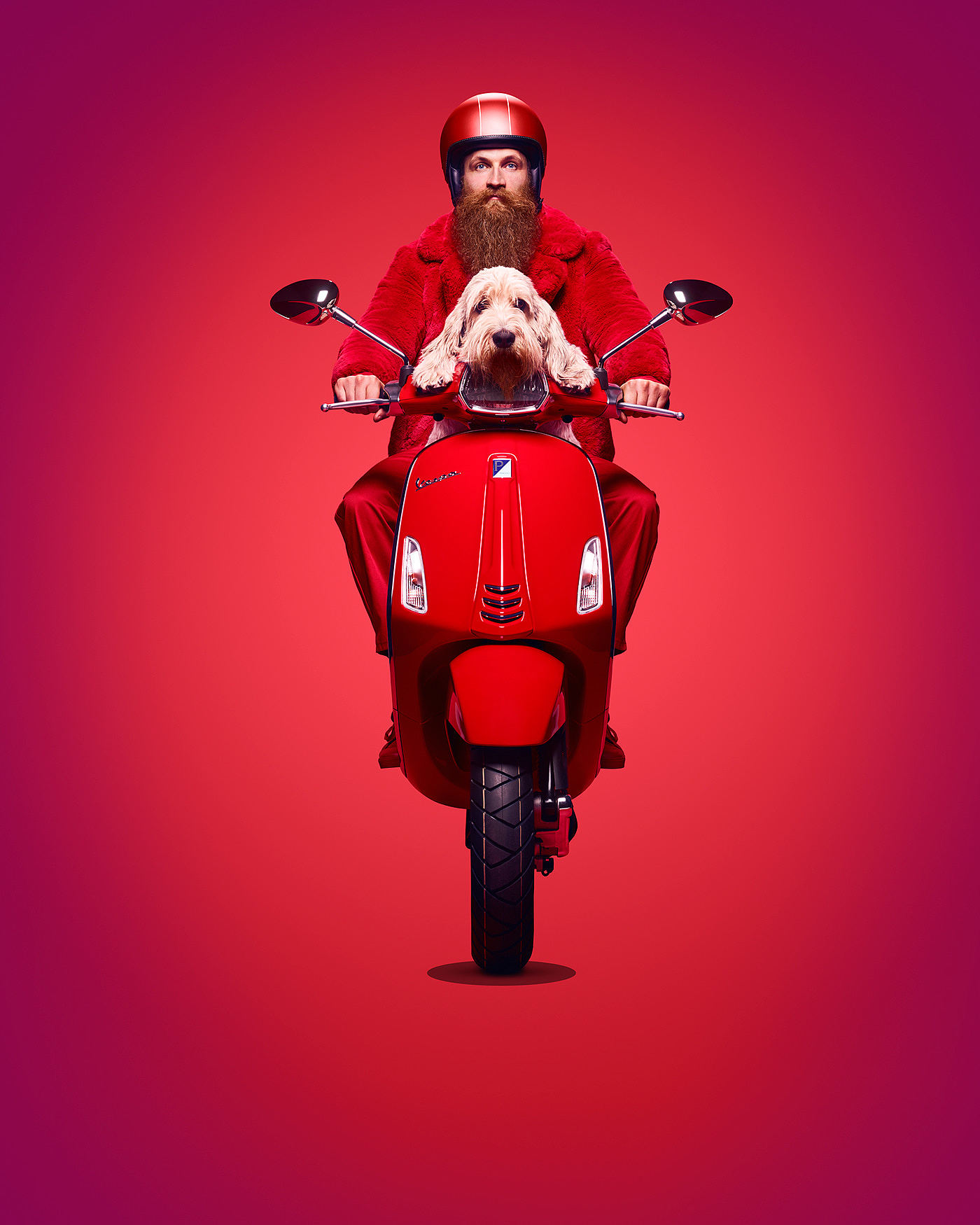 Amsterdam's，Scootercity，Netherlands，Photography，works，