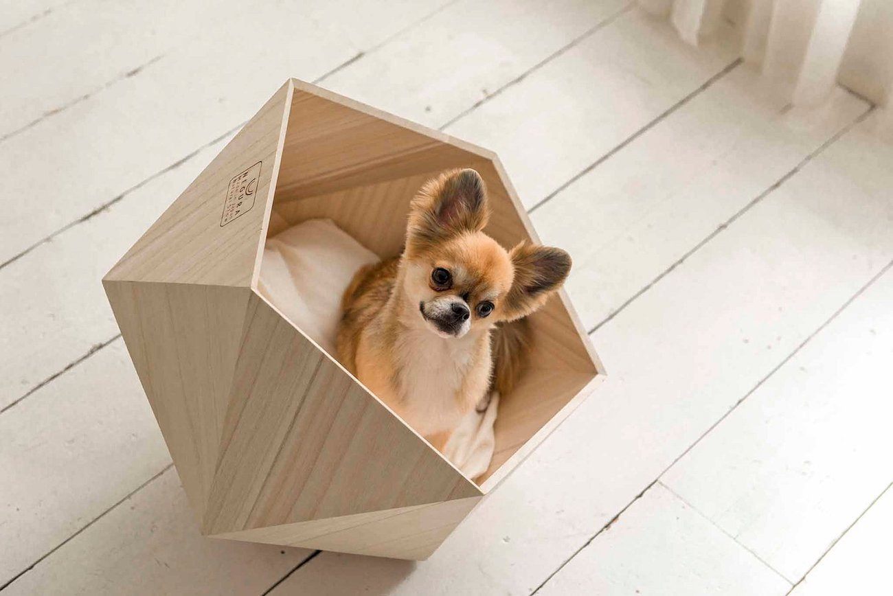 Pet nest，Pet house，Kamakura House，Pets，room，