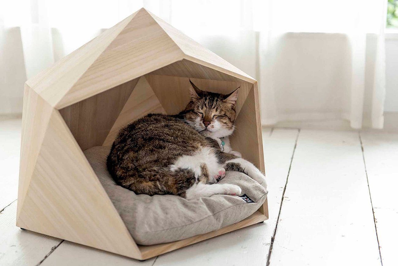 Pet nest，Pet house，Kamakura House，Pets，room，