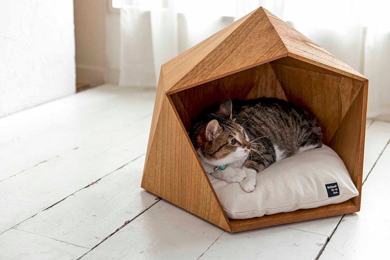 Pet nest，Pet house，Kamakura House，Pets，room，