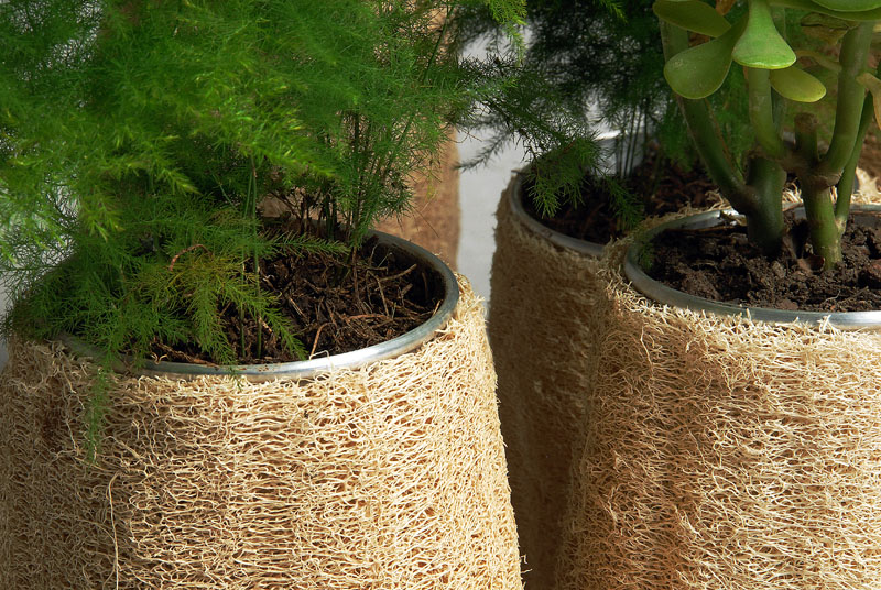 Material Science，product design，Towel gourd，Red pottery，