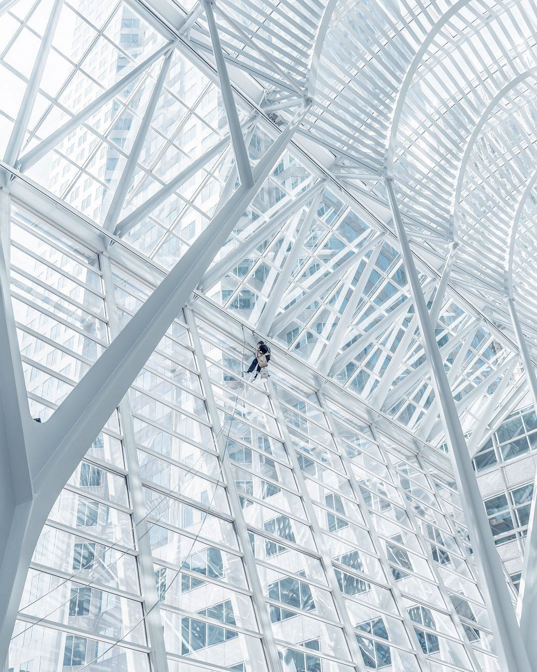 picture，Photography，Archite，Joel Filipe，