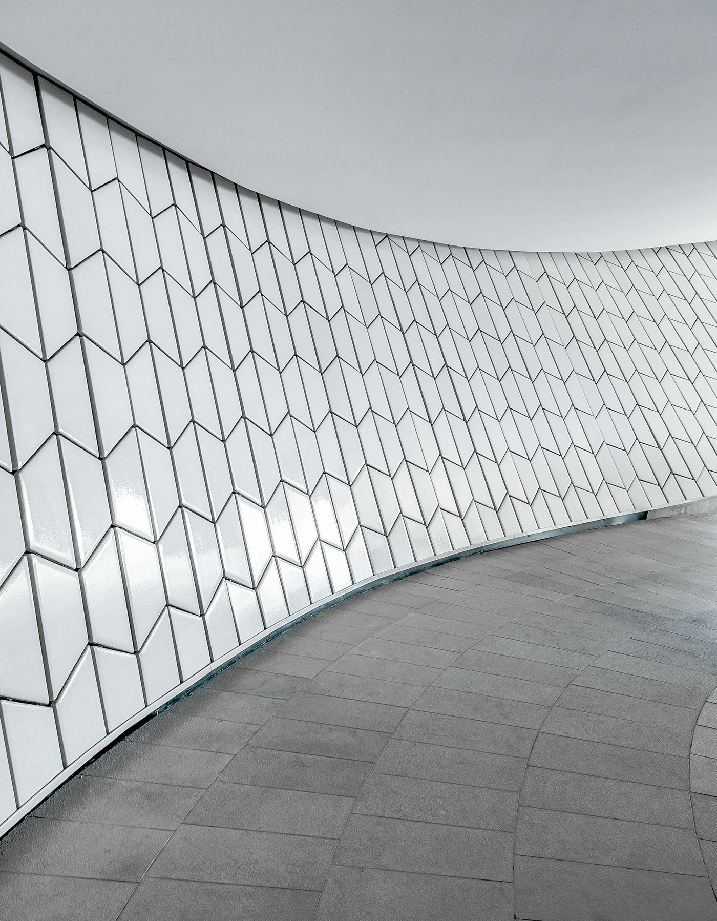 The Shell，SIZE，Lisbon，Lisbon，shell，museum，Photography，picture，Joel Filipe，