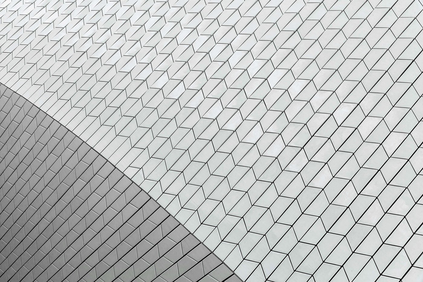 The Shell，SIZE，Lisbon，Lisbon，shell，museum，Photography，picture，Joel Filipe，