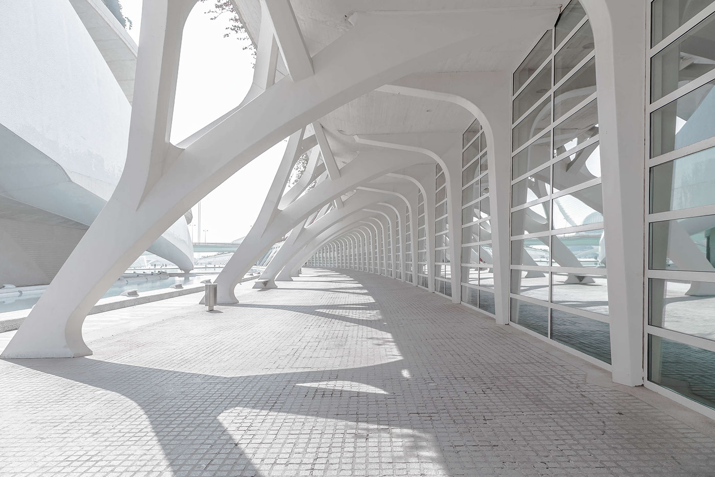 Joel Filipe，City of Lights，Spain，Valencia，Travel，Photography，picture，