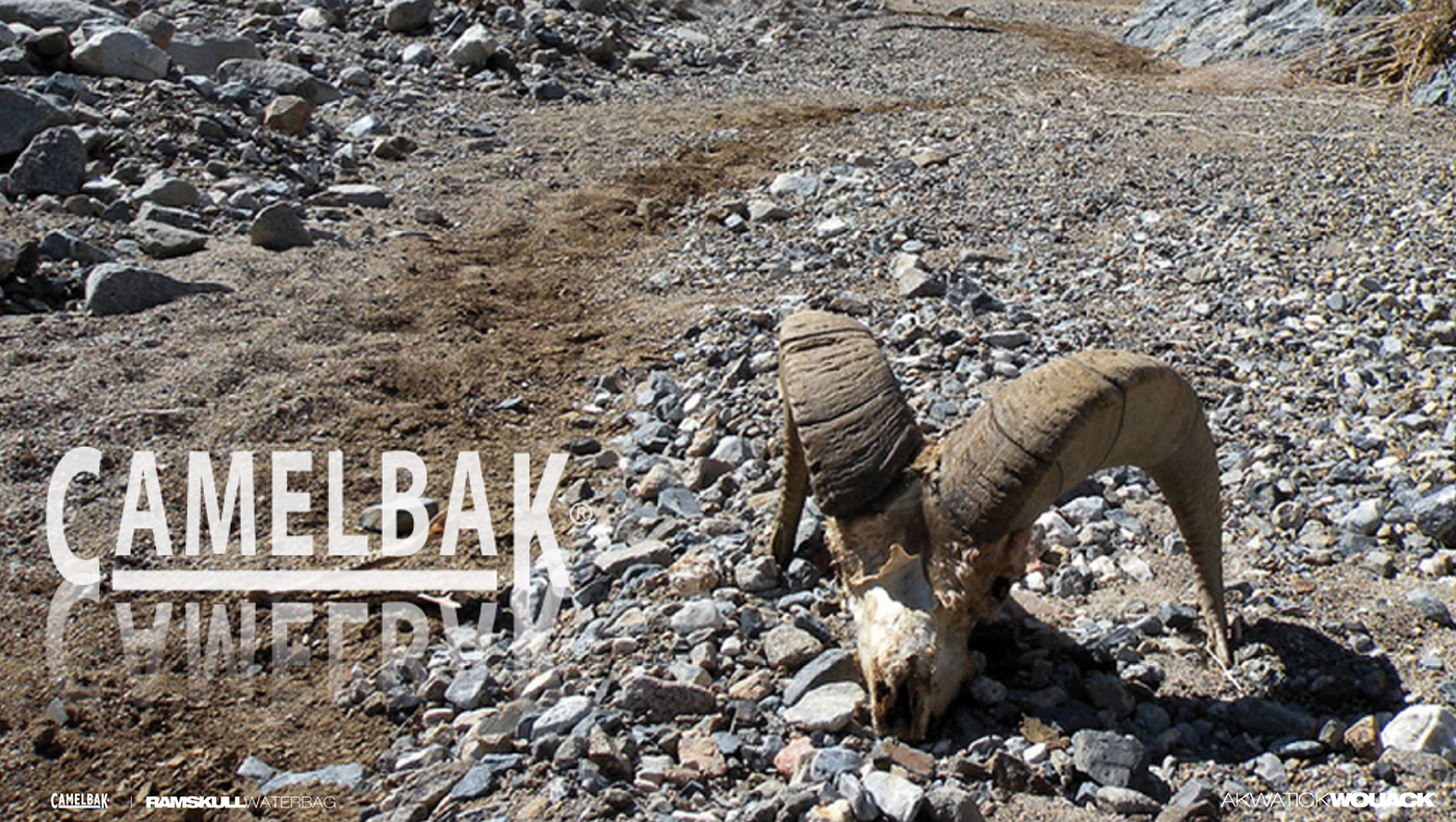 Easy to clean，concept，knapsack，RAMSKULL，Camelbak，Water bag，waterbag，