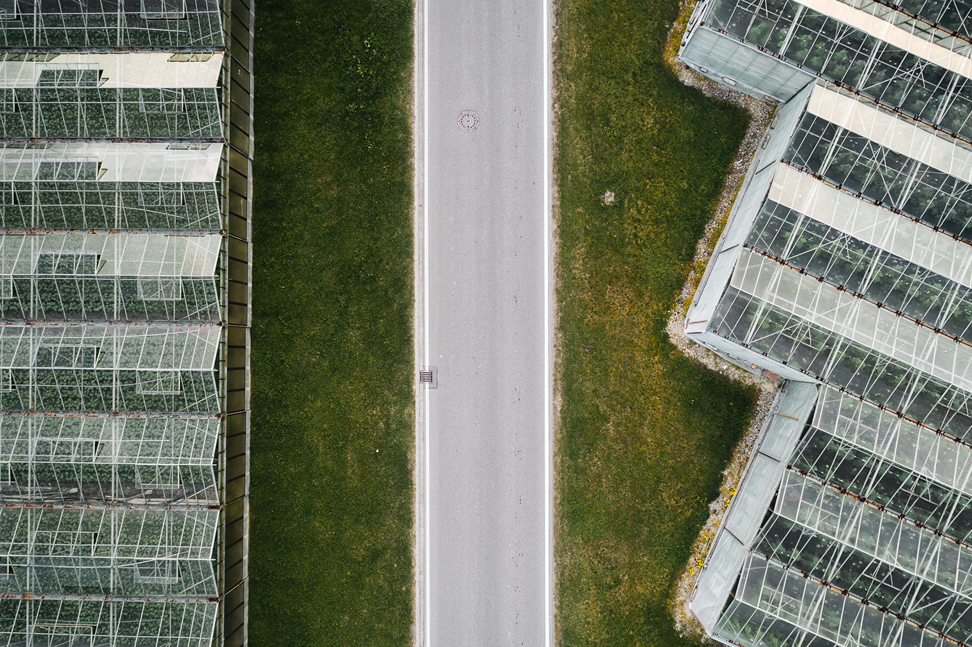 Horticultural photography，Horticultural photography，New vision，Plant photography，Photography，