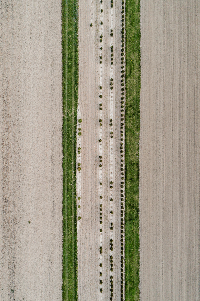 Horticultural photography，Horticultural photography，New vision，Plant photography，Photography，