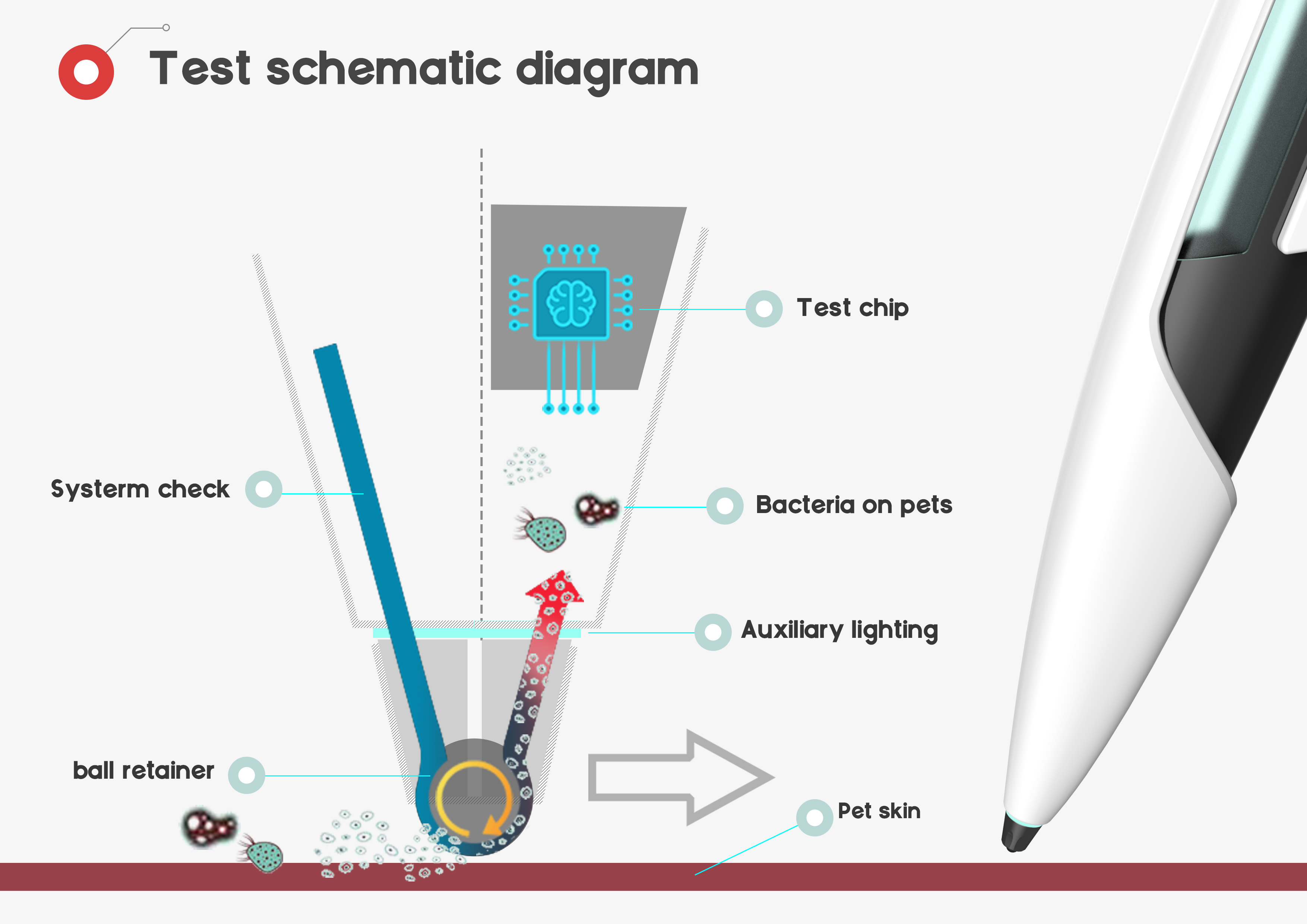 Pet care，Data visualization，Electronics，