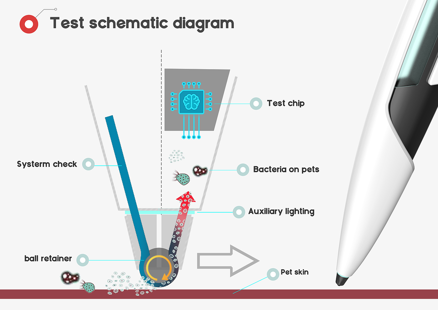 Pet care，Data visualization，Electronics，