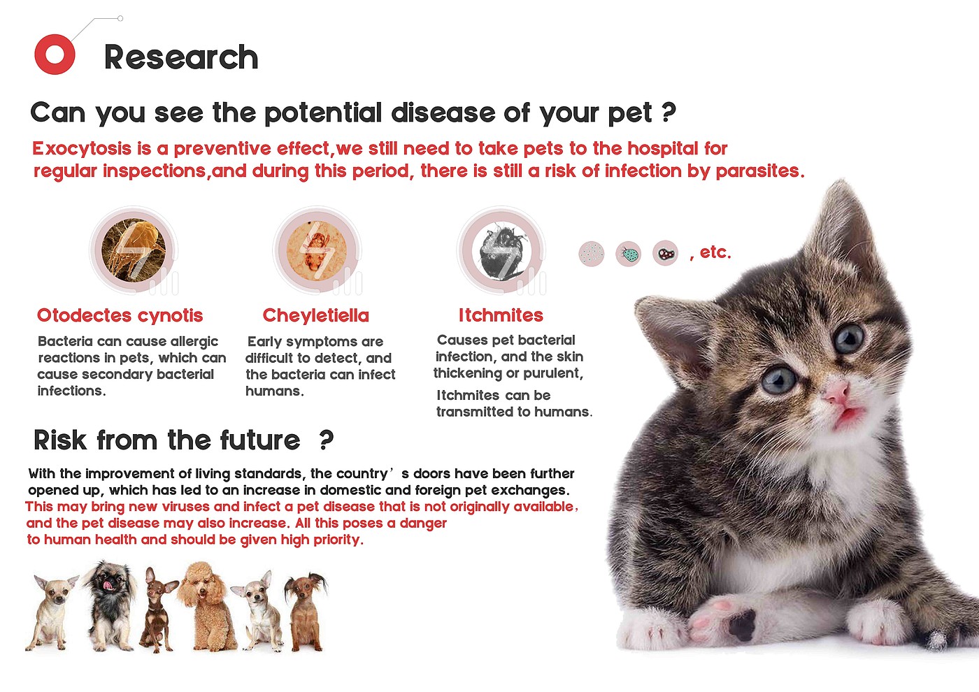 Pet care，Data visualization，Electronics，