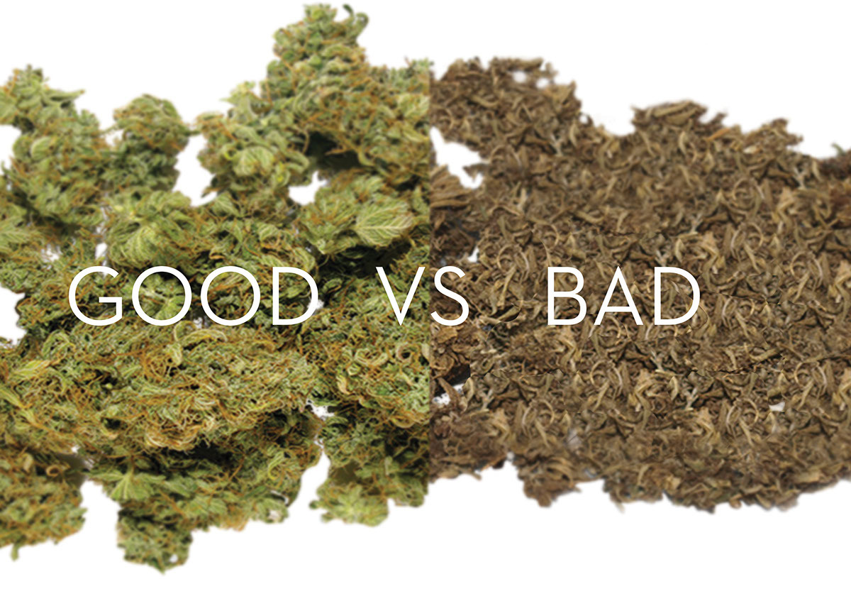 diy，savings bank，Storage box，Preservation，Storage box，