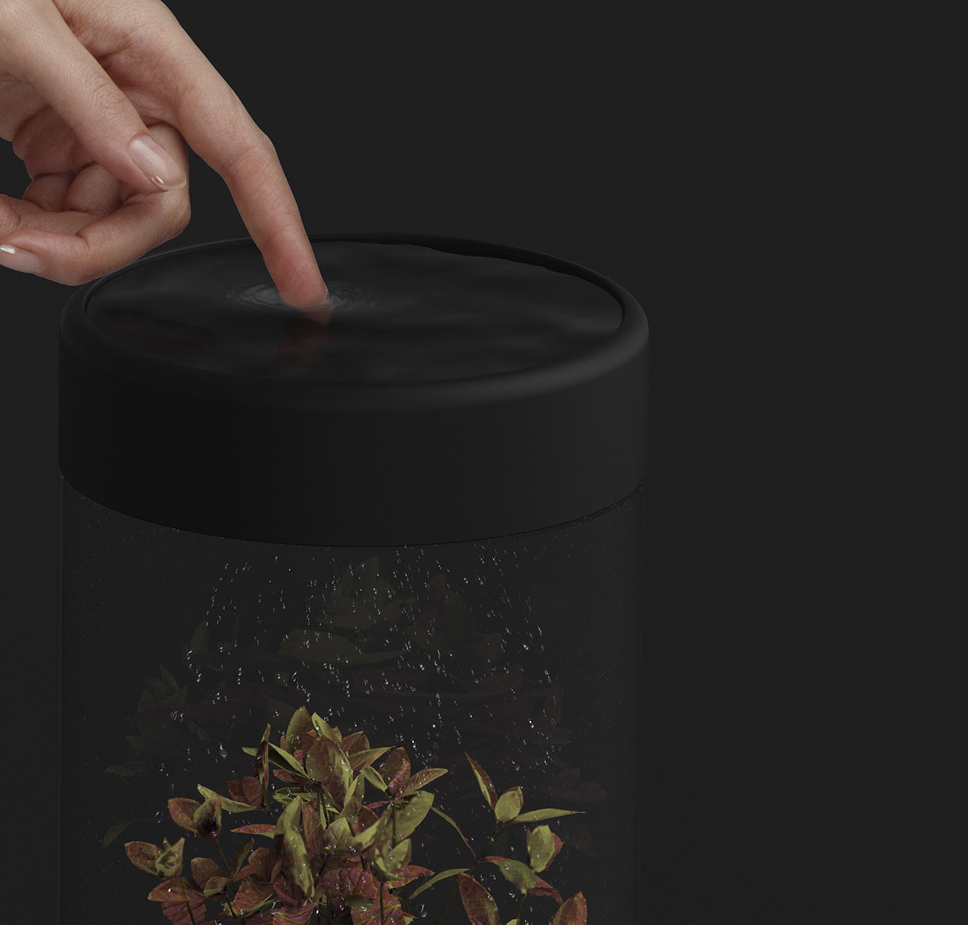 Interaction design，product design，Plant culture，Breeding utensils，Botany，