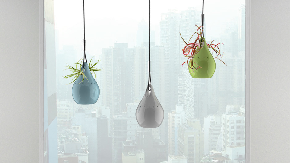 Home，Flower cultivation，Potted plants，Slow Life，Intelligent products，