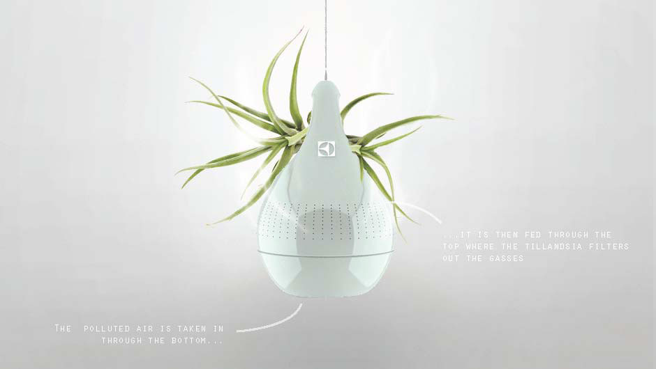 Home，Flower cultivation，Potted plants，Slow Life，Intelligent products，