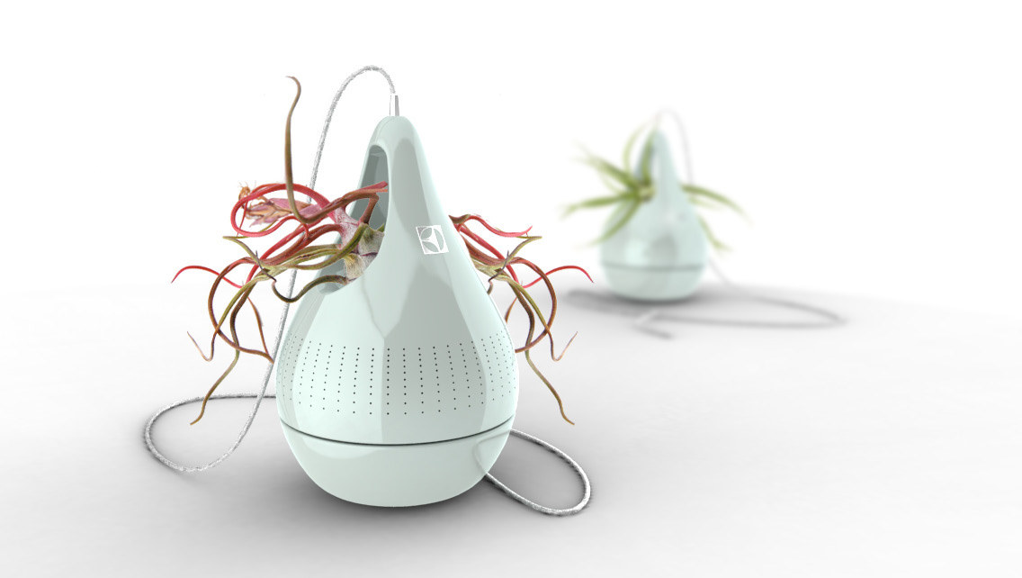 Home，Flower cultivation，Potted plants，Slow Life，Intelligent products，