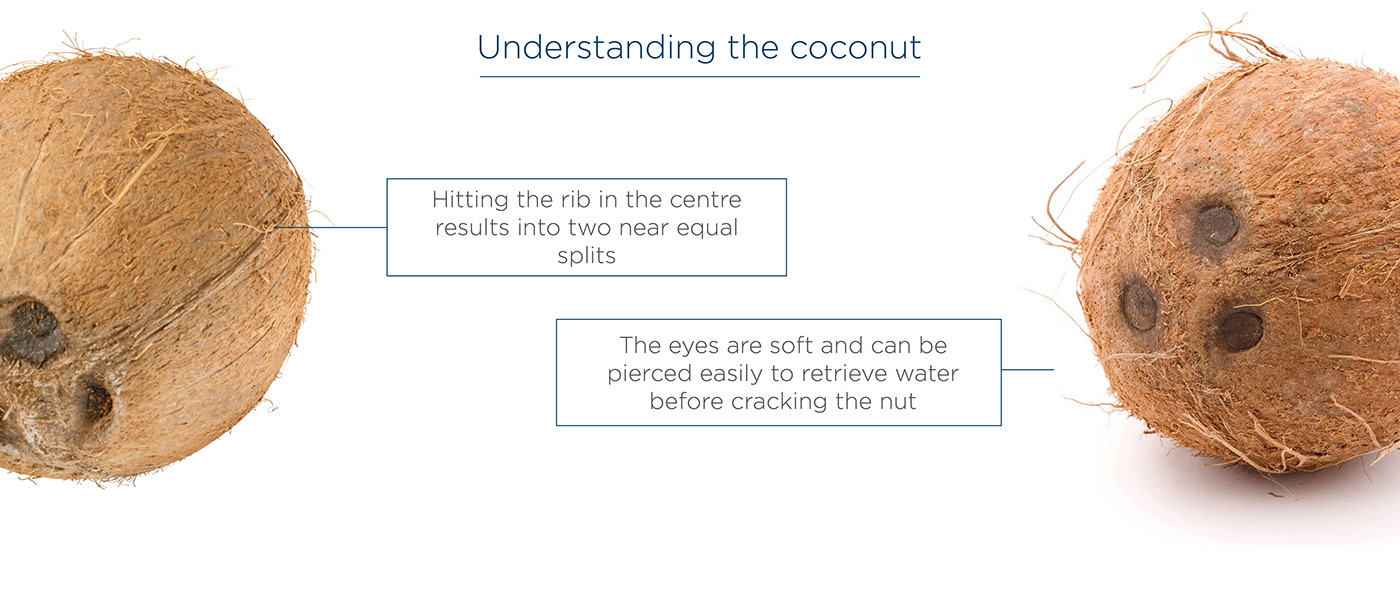 Coconut jar，Cracko，opener，Efficient，cheap，