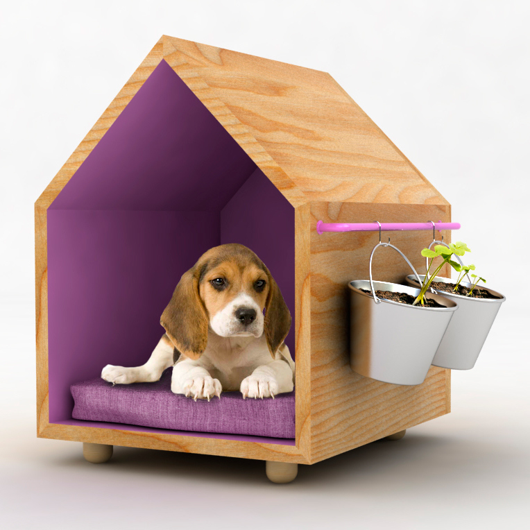 woodiness，comfortable，natural，beautiful，