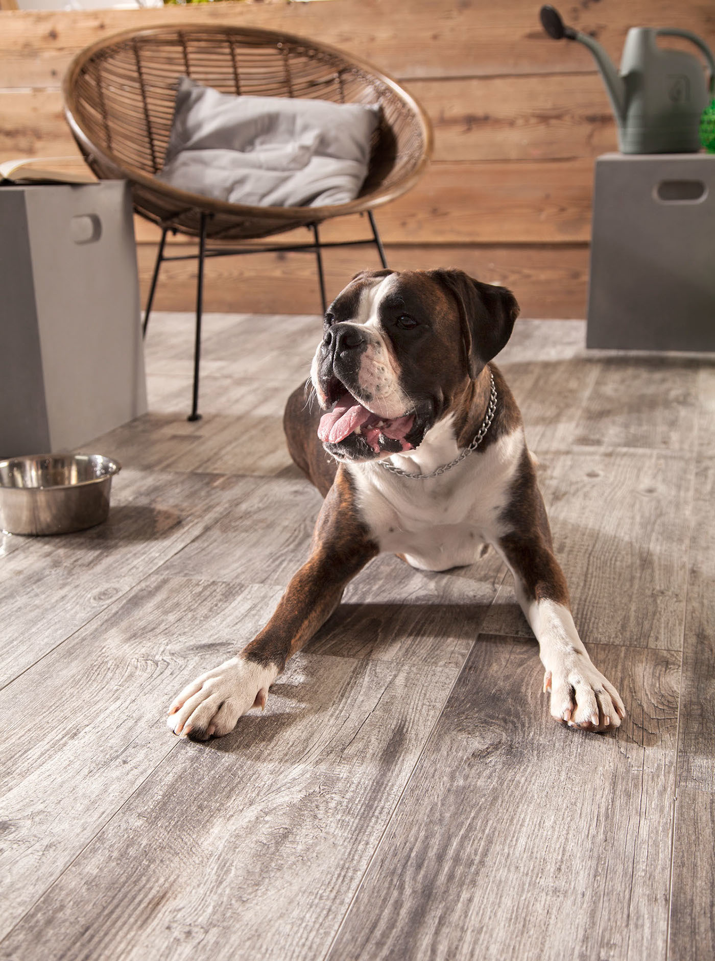 Home Furnishing，furniture，cozy，