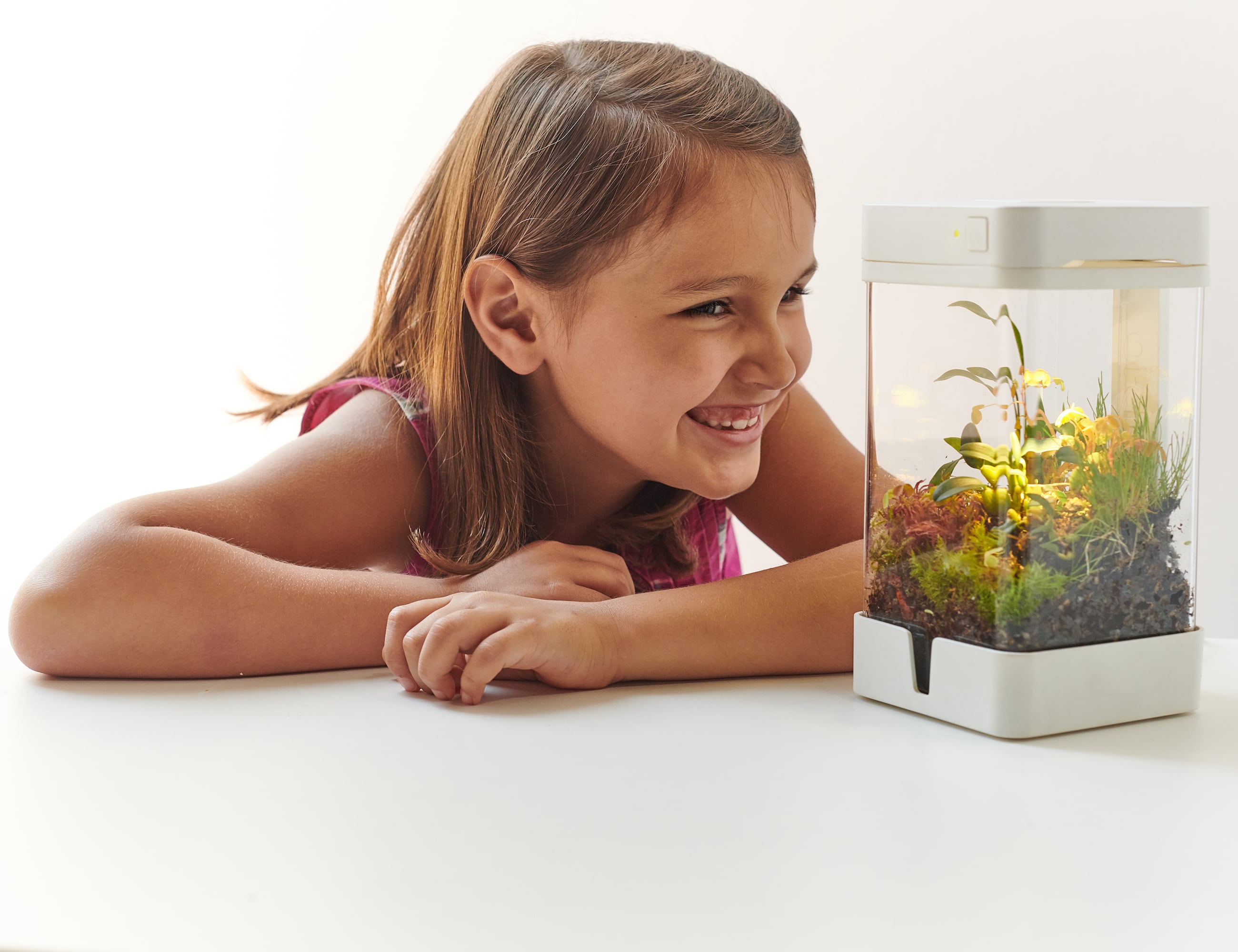 ecosystem，Smart Mini，OrchidBox，