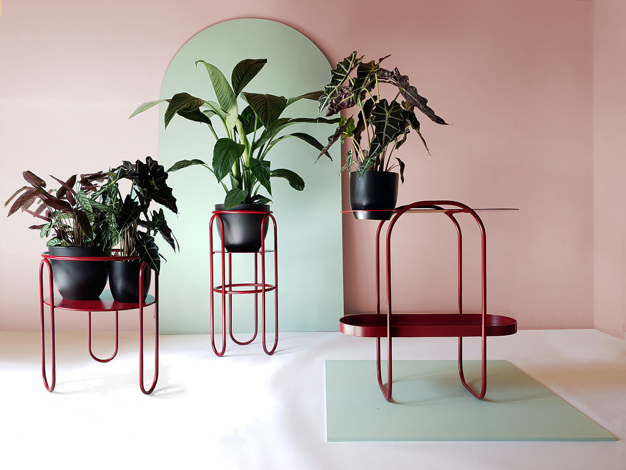 product design，Serial design，Plant rack，