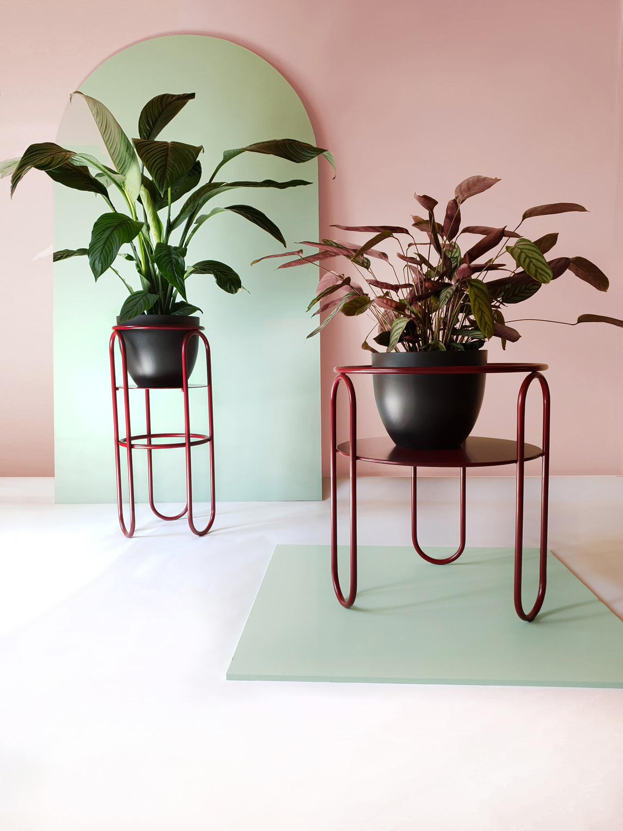 product design，Serial design，Plant rack，