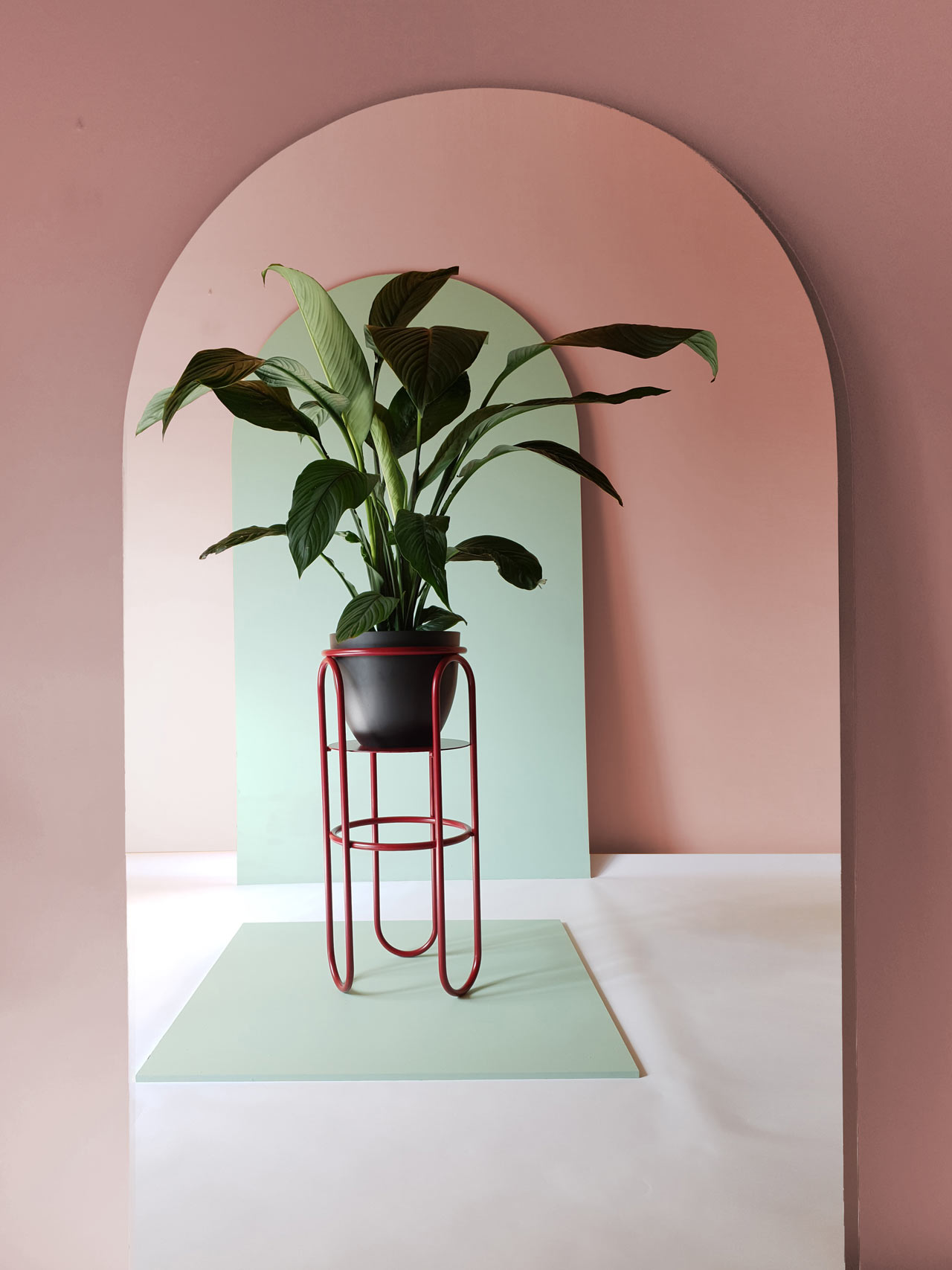 product design，Serial design，Plant rack，