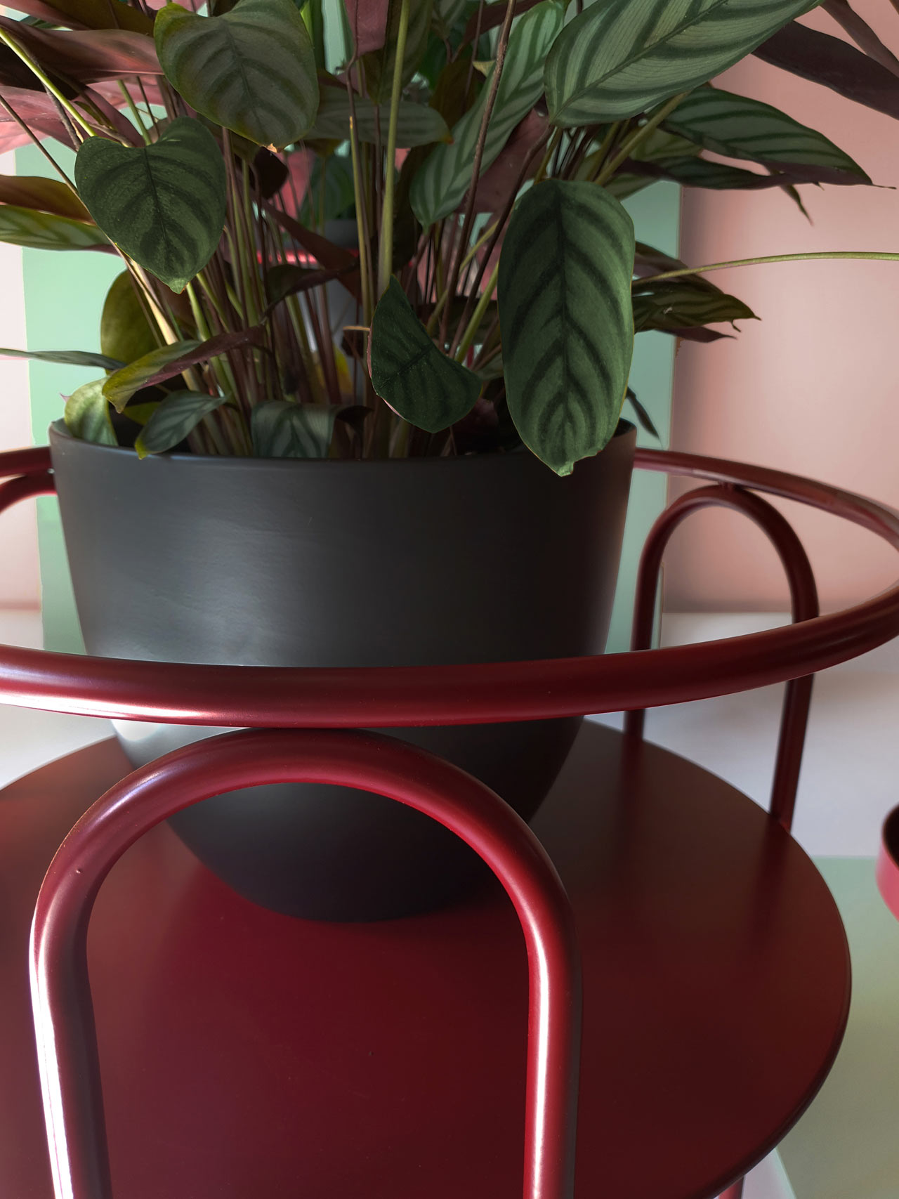 product design，Serial design，Plant rack，