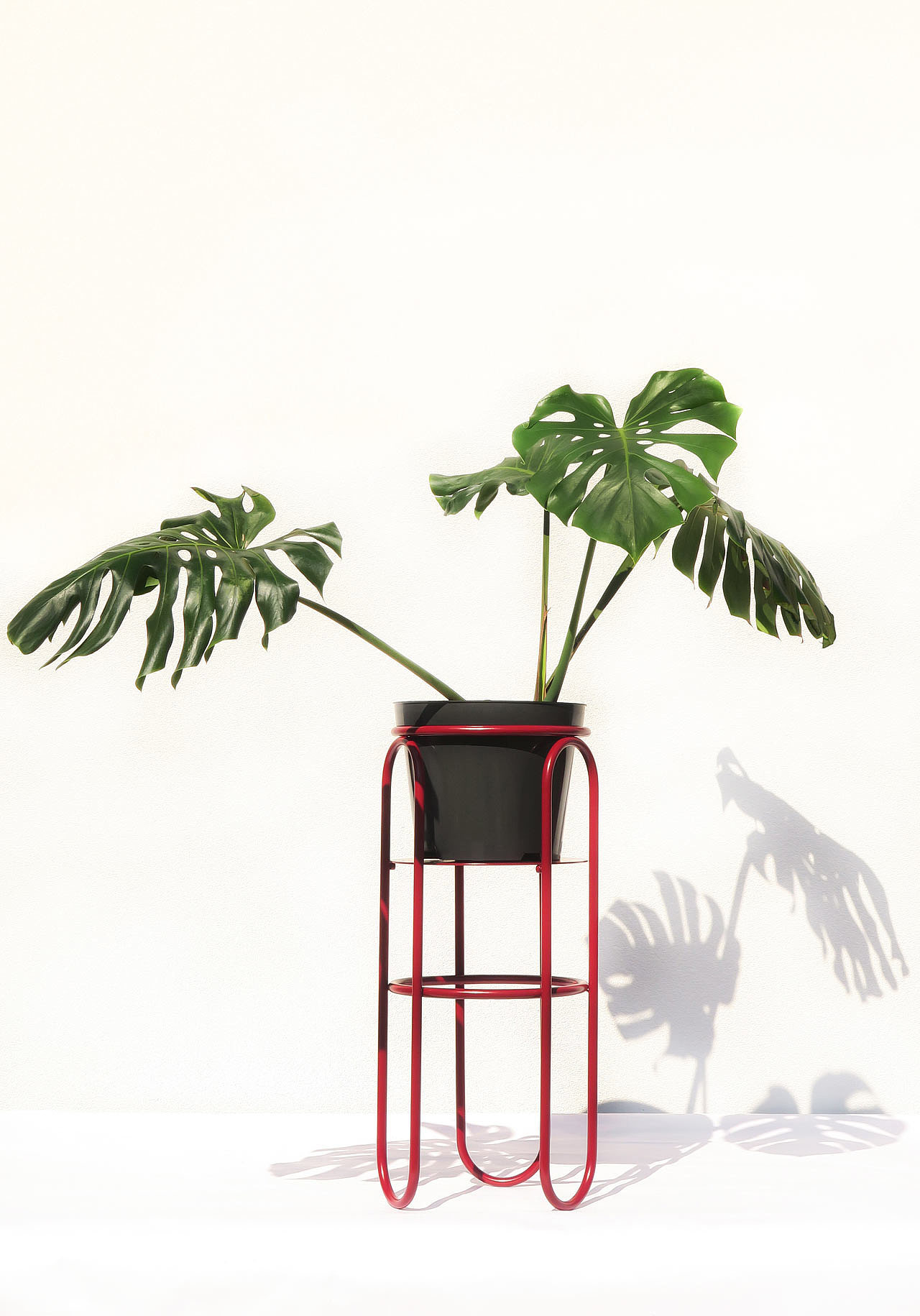 product design，Serial design，Plant rack，