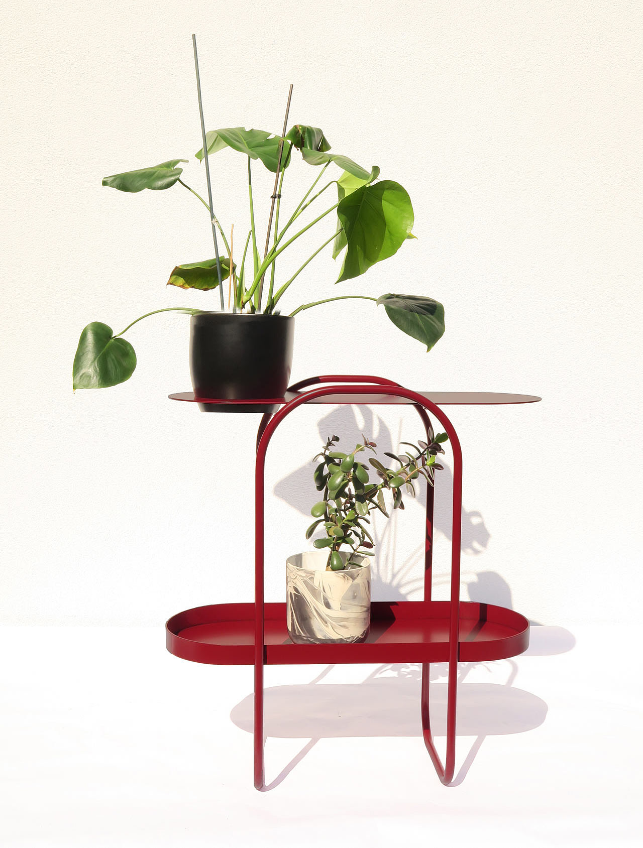 product design，Serial design，Plant rack，