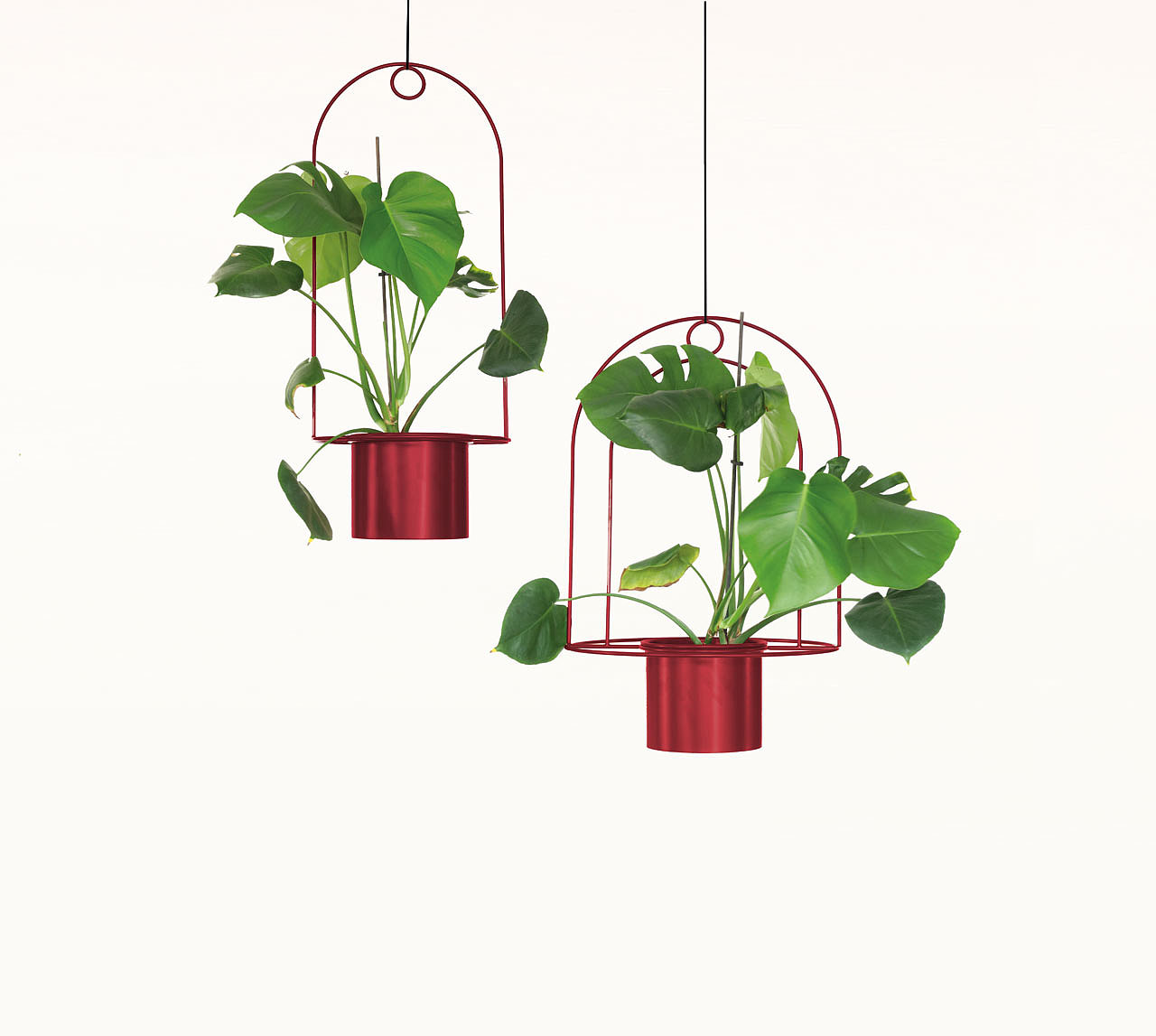 product design，Serial design，Plant rack，