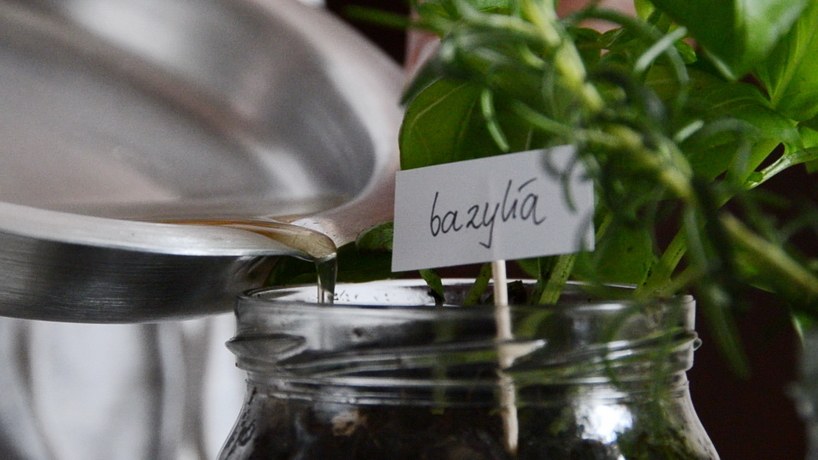 Design，product，fresh，practical，esthetics，