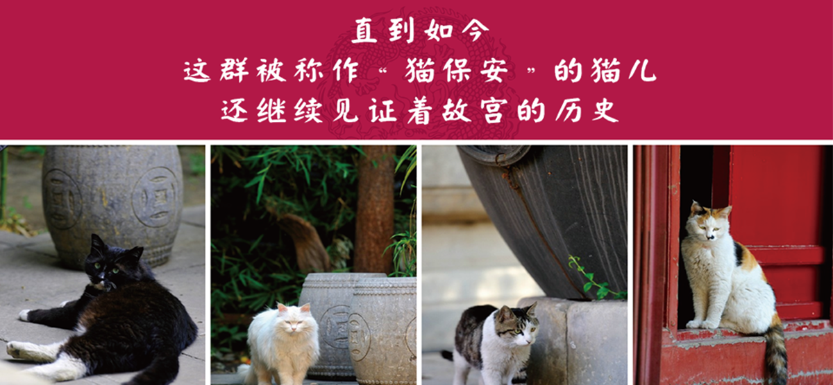 Cultural and creative product design，