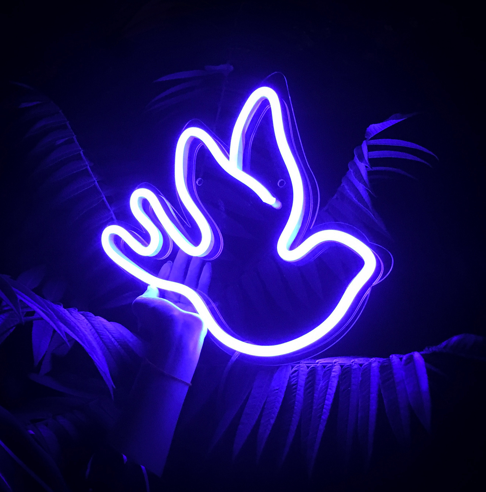 originality，Home Furnishing，atmosphere，lighting，led，