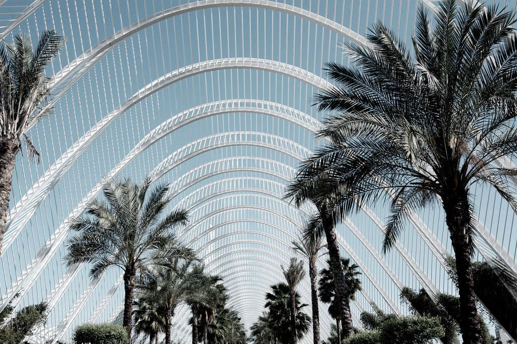 Photography，Architecture，Valencia Science City，CAC，Roc Canals，