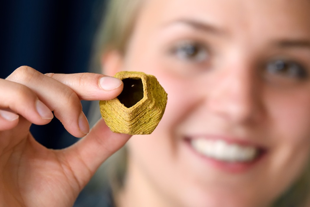 originality，product design，food，3D printing，