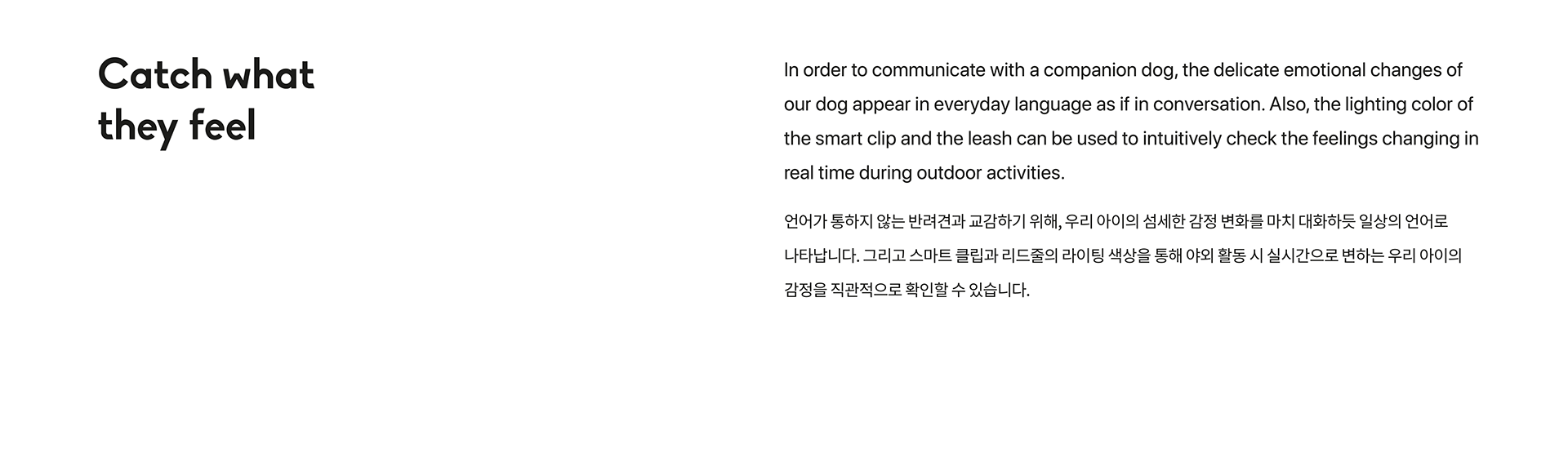 Let pets really become a member of the family，